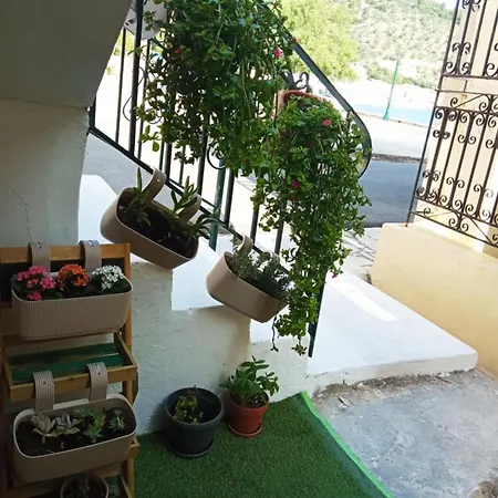 Afroessa Apartment Ithaca ΙΙ Βαθύ