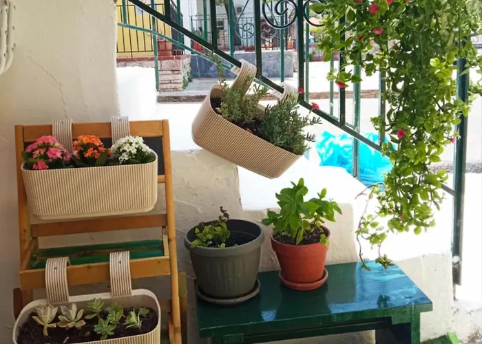 Afroessa Apartment Ithaca Ιι Апартаменты